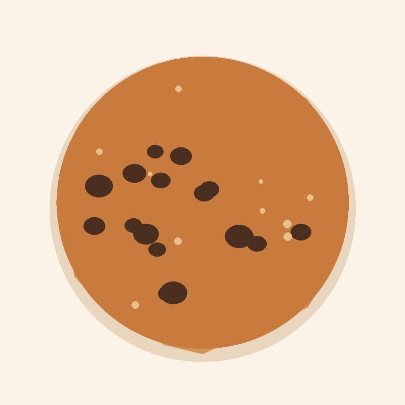Classic Chocolate Chip Cookies